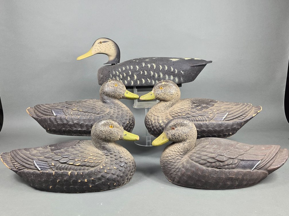Rig of 5 Gunning Black Ducks