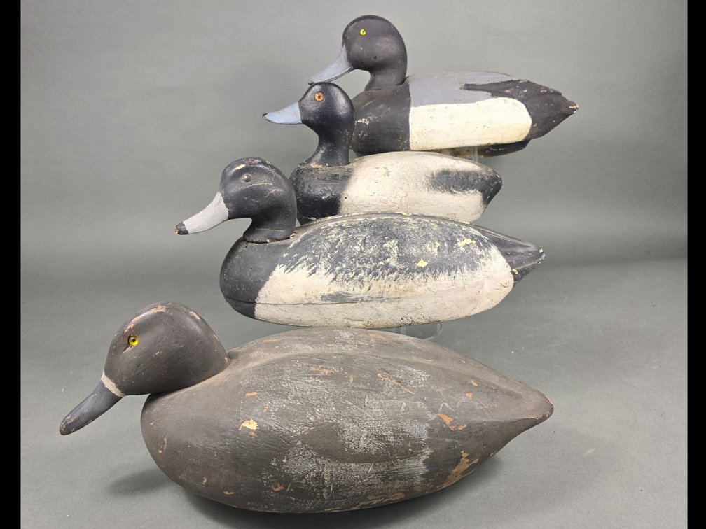 Rig of 4 Bluebills