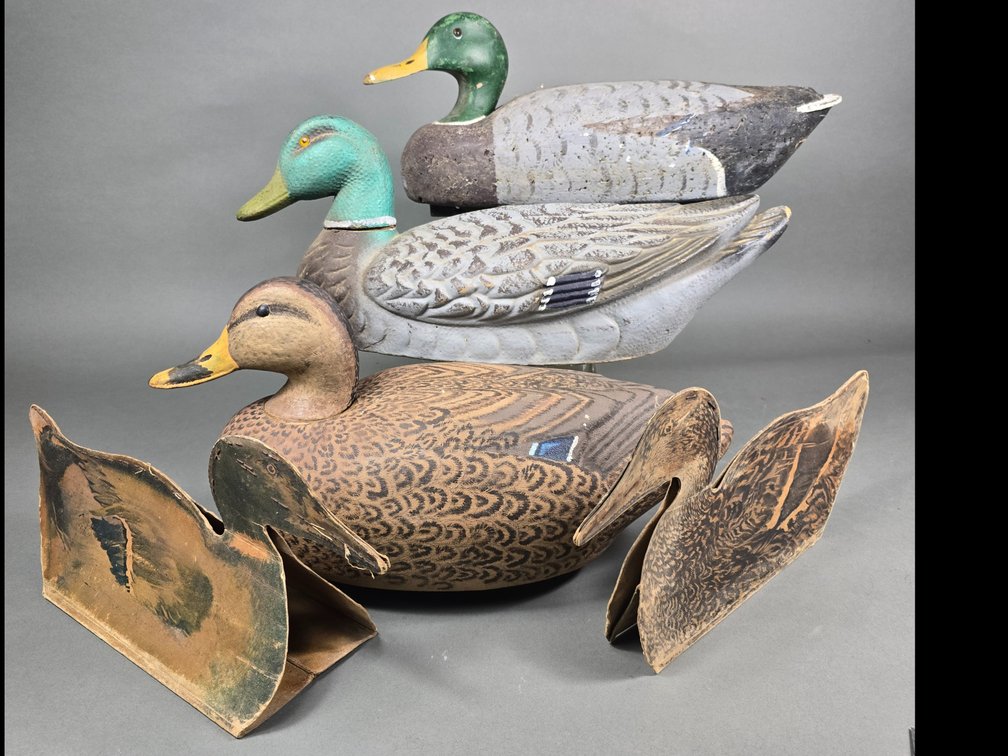 Rig of 5 Factory Mallards