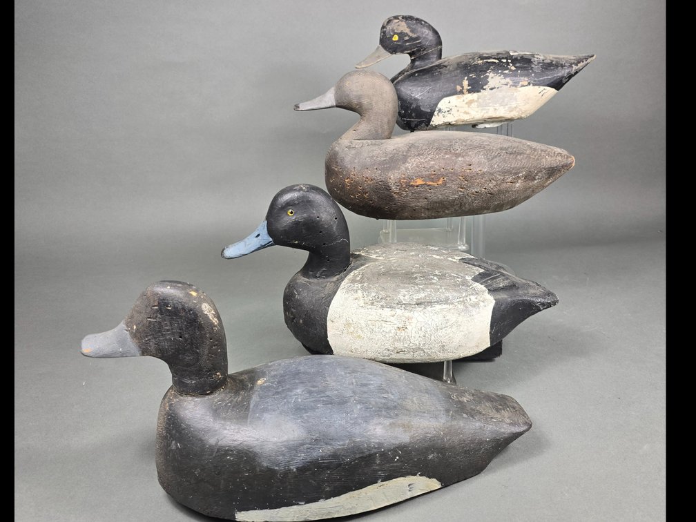Rig of 4 gunning Bluebills
