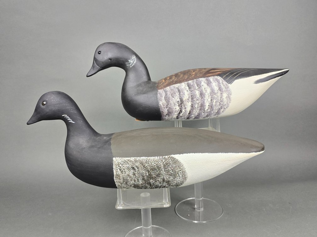 Brant Duo