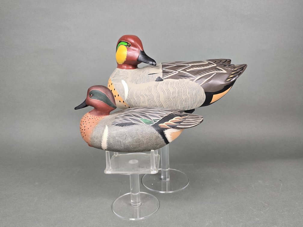 Greenwing Teal Duo