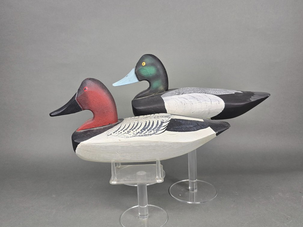 Frank Goldsboro Hollywood,  MD Diving Duck Duo