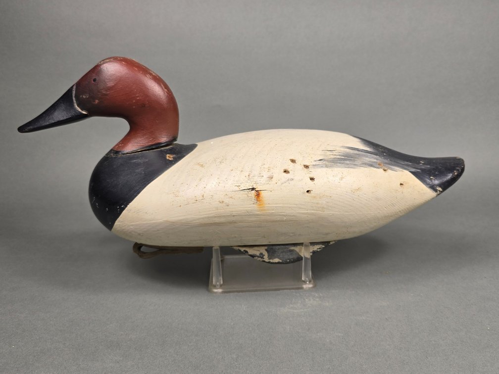 Madison Mitchell Havre de Grace,  MD Canvasback