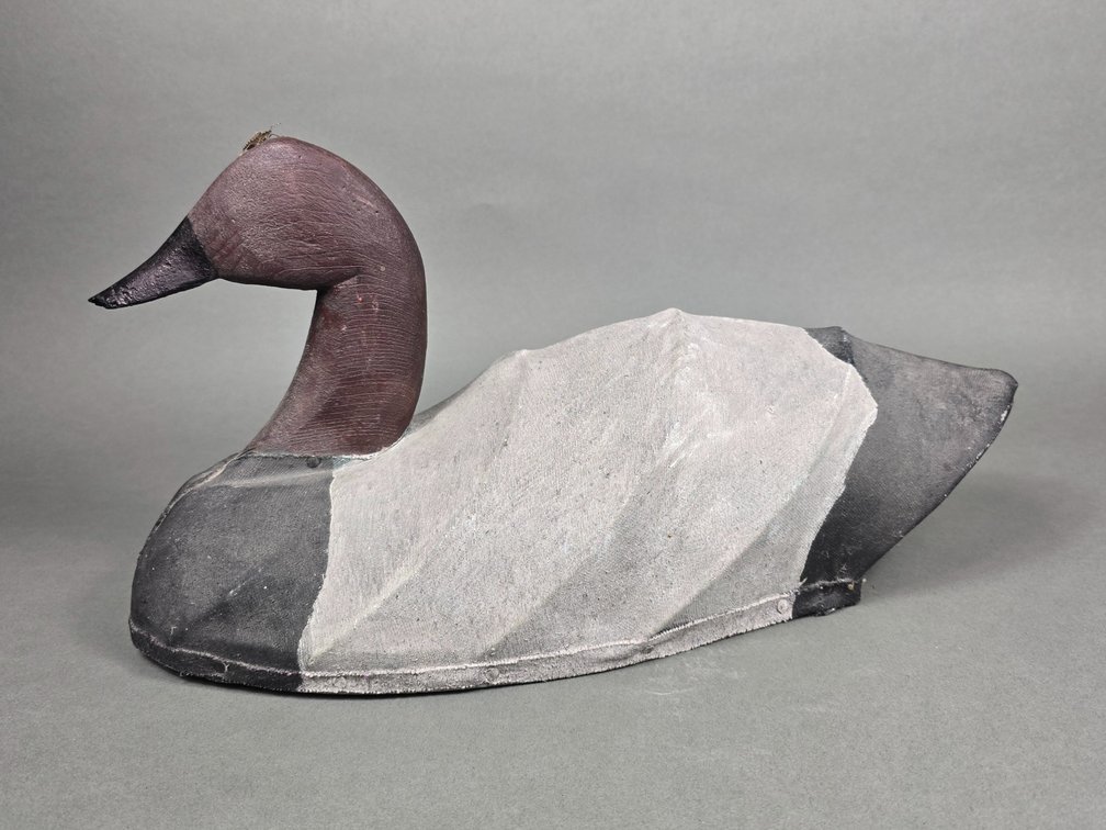 Bud Coppedge,  Virginia Beach,  VA Canvasback
