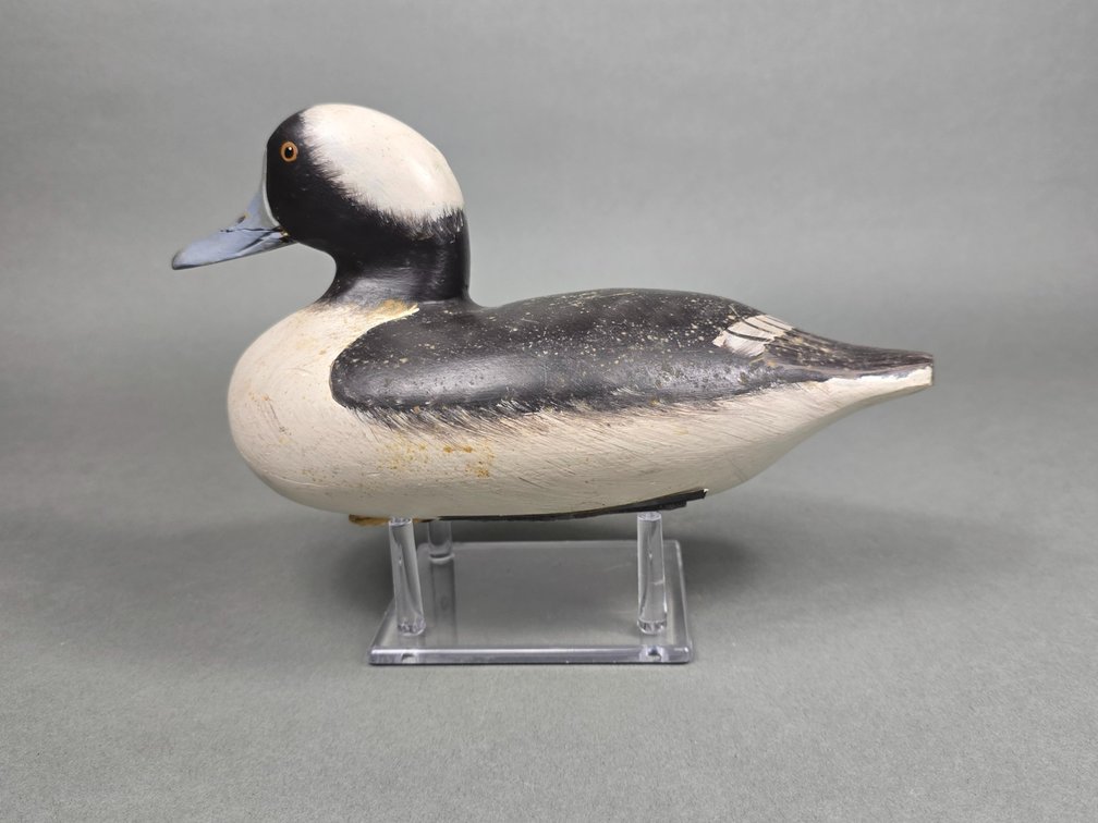 Robert "Bob" Litzenburg,  Elkton,  MD Bufflehead