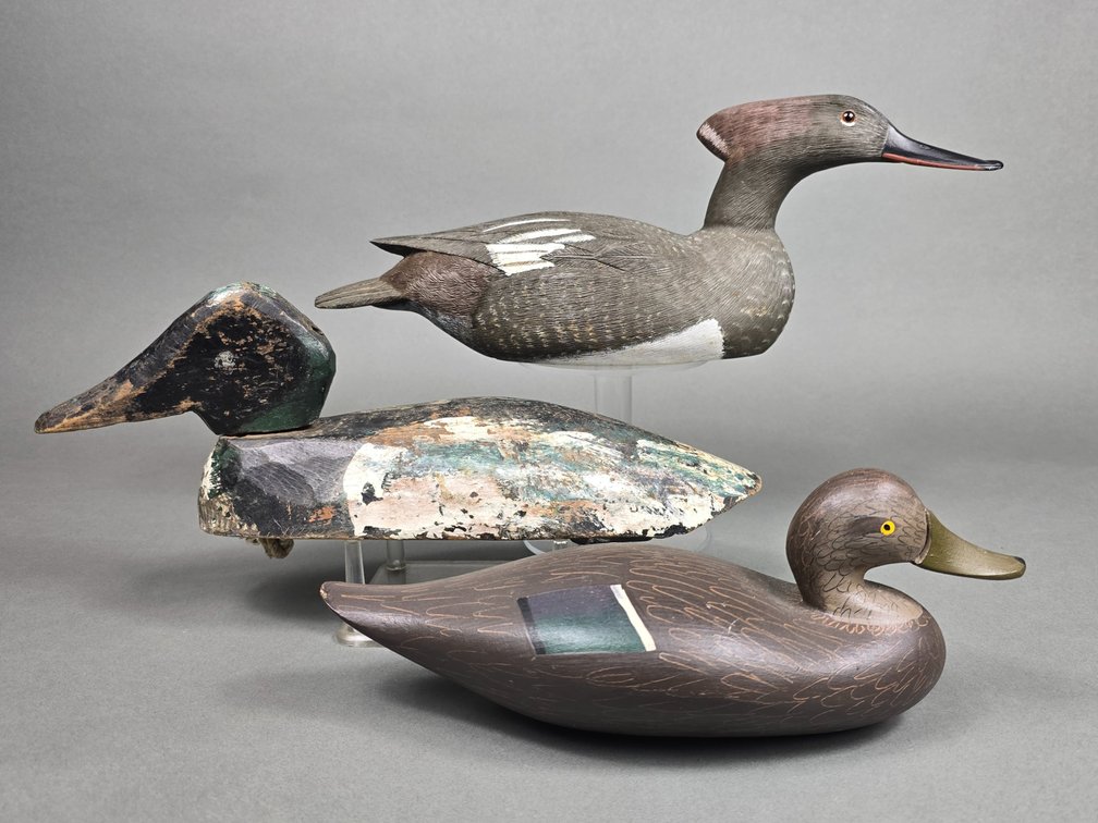 3 Bird Lot