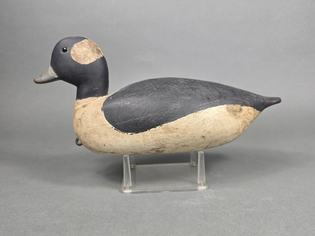 David O'Neal, Ocracoke Island,  NC Bufflehead