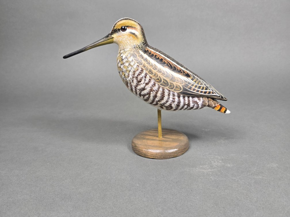 John Wood,  Venice,  FL Standing Snipe