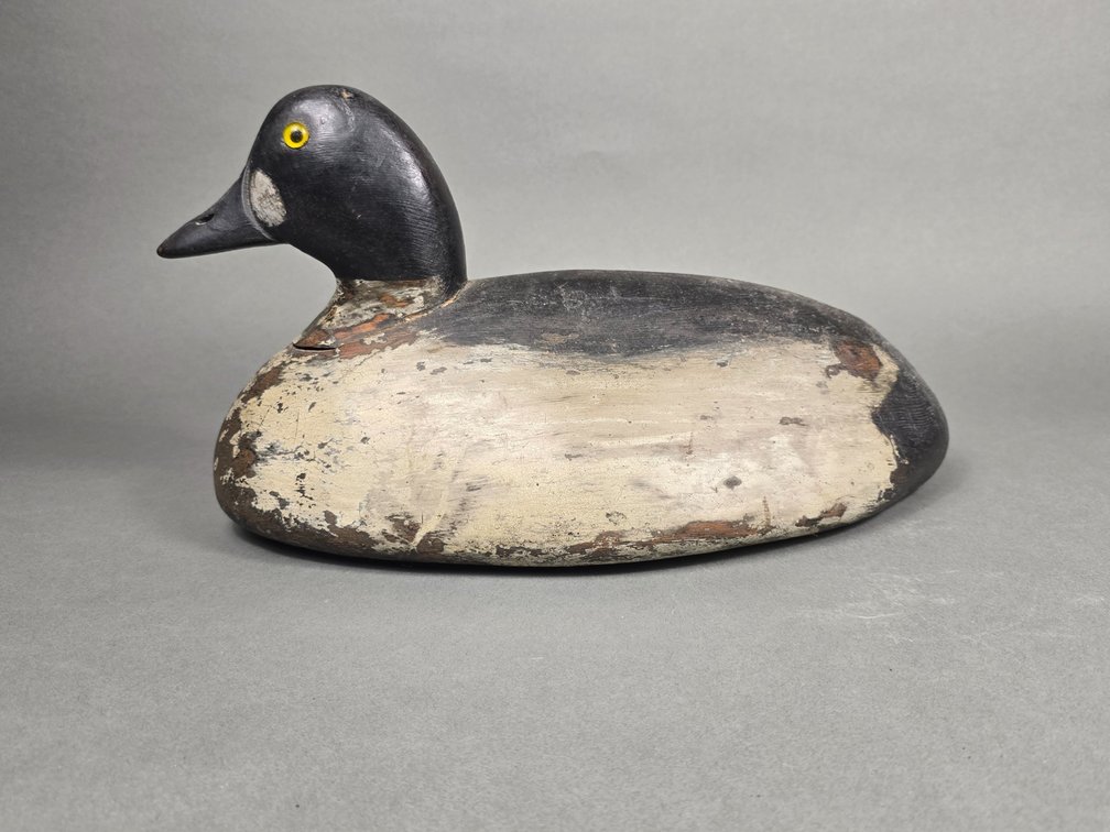 Walter Wagner, New Baltimore,  Ohio Goldeneye