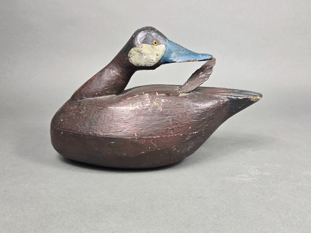 Preening Ruddy Duck by Unknown Maker
