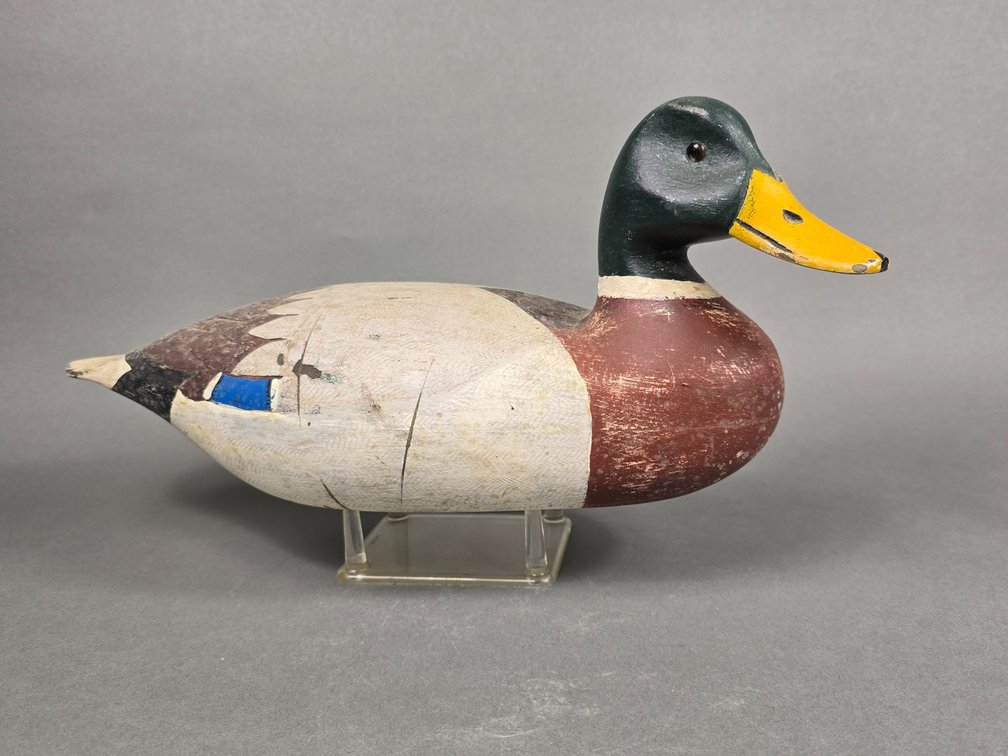 Signed Mallard Drake