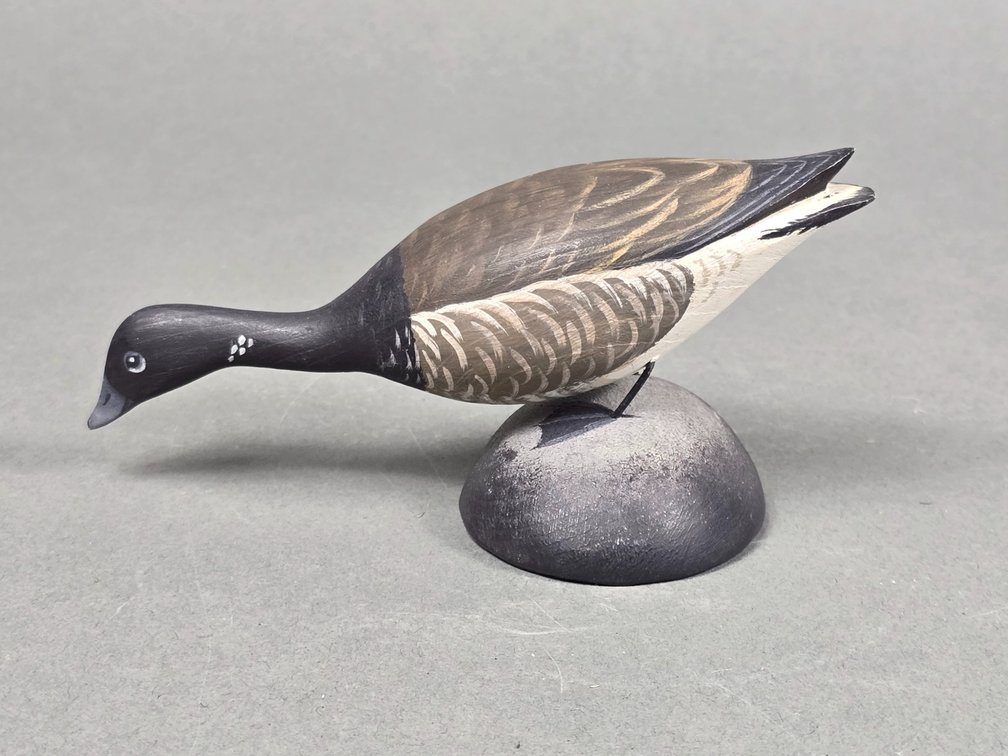 Anthony Hillman,  Cape May,  NJ Mini Brant