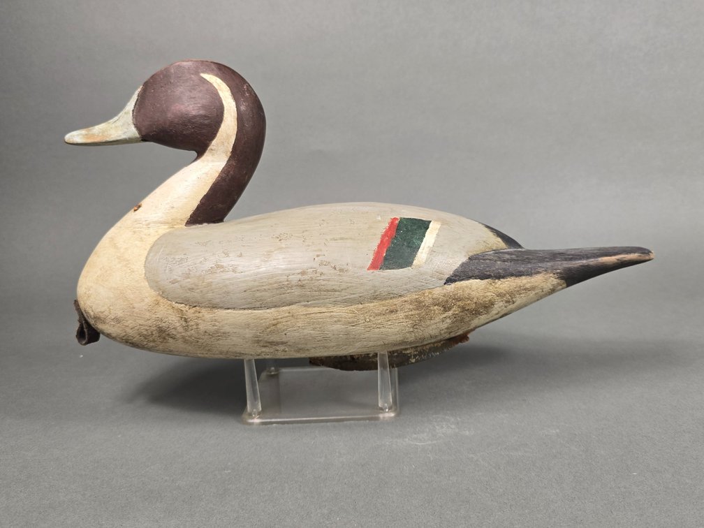 Joe Seme, Wilmington,  NC Pintail
