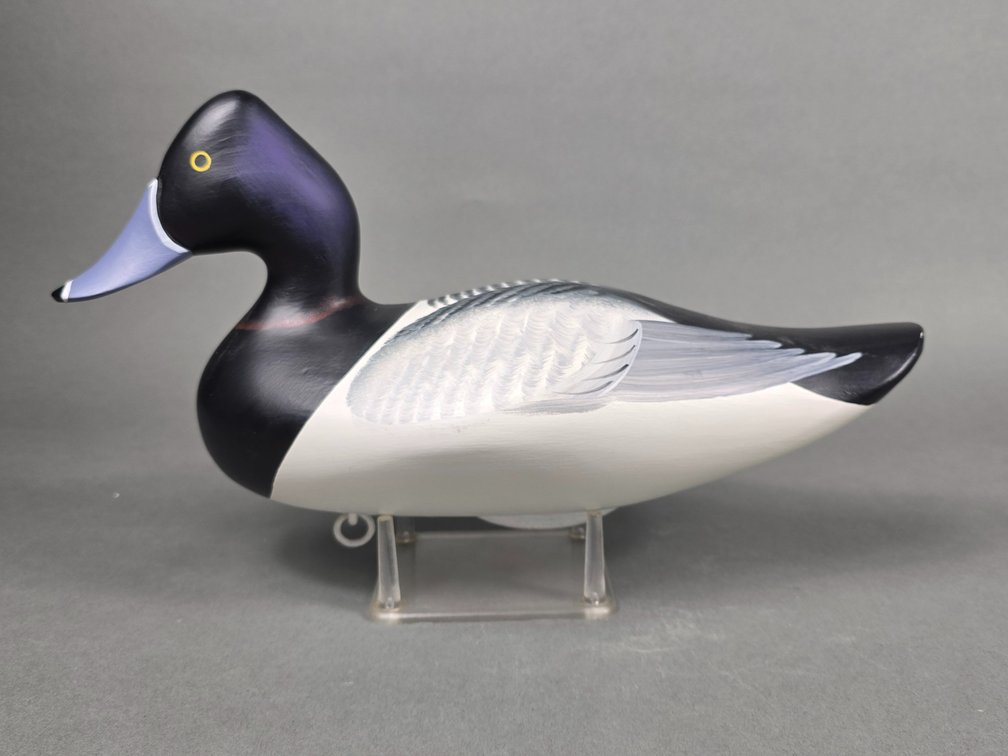 Charles Jobes , Havre de Grace,  MD Ringneck