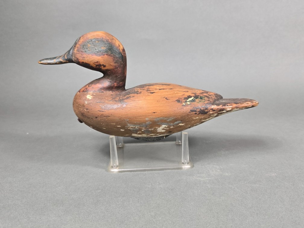 Joe Seme, Wilmington,  NC, Greenwing Teal Drake