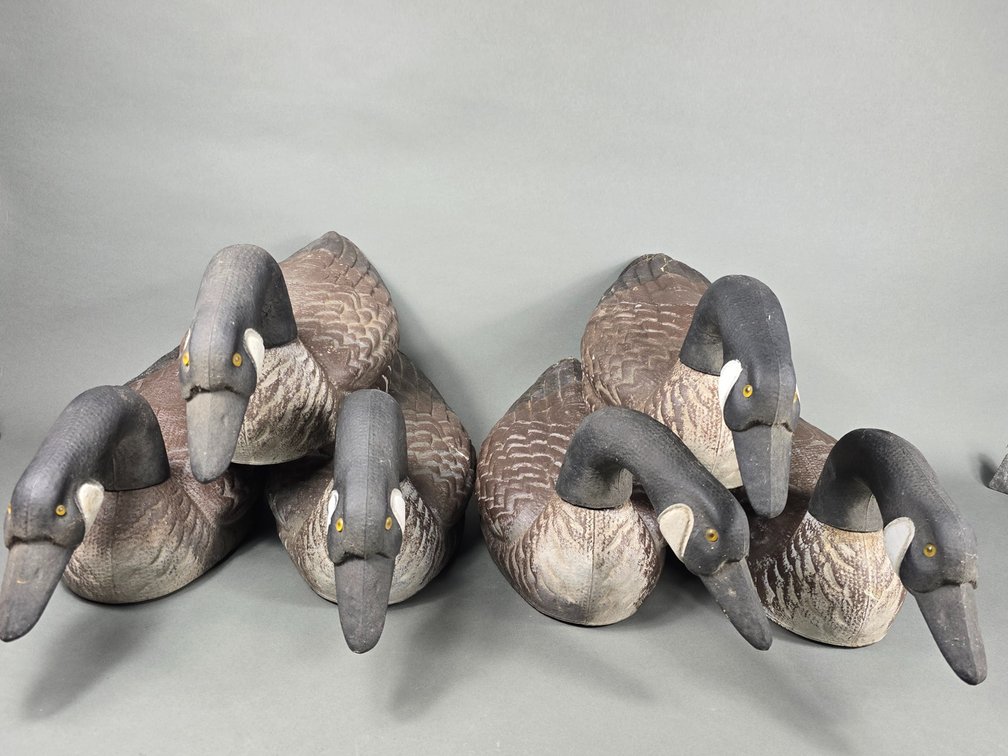 Rig of 6 General Fibre Canada Geese