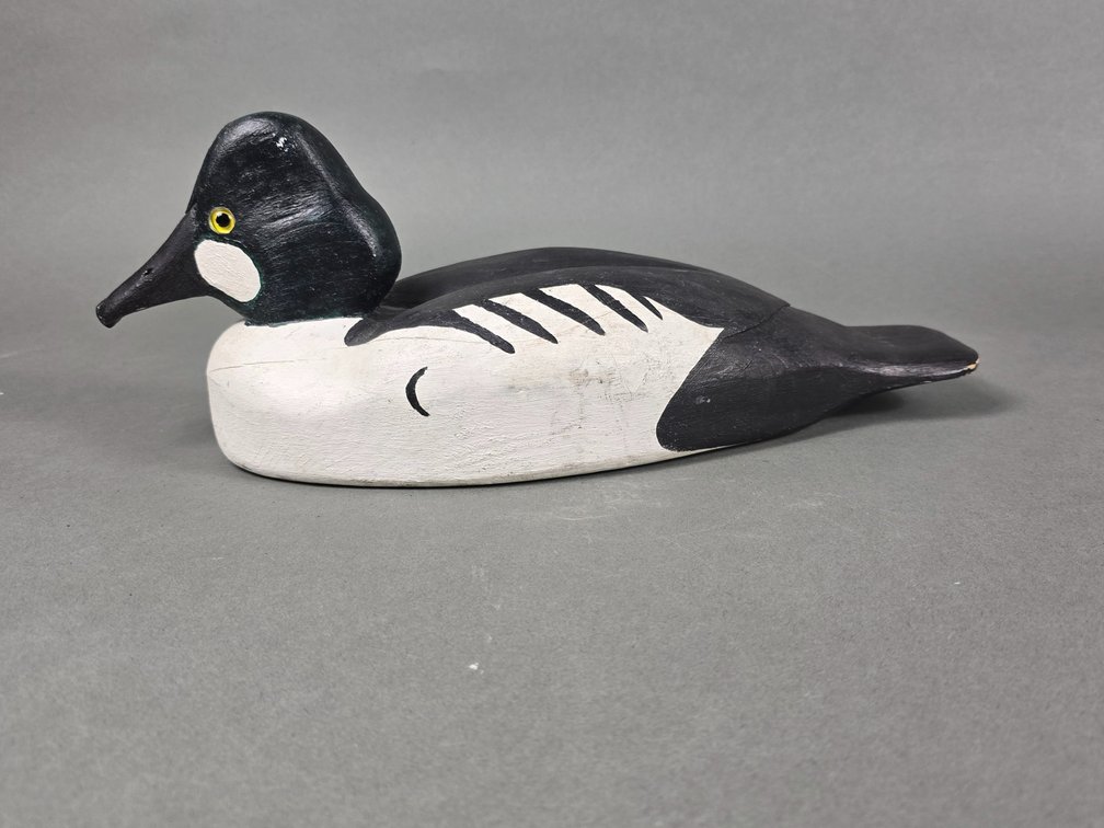 Nicol, Canada, Goldeneye