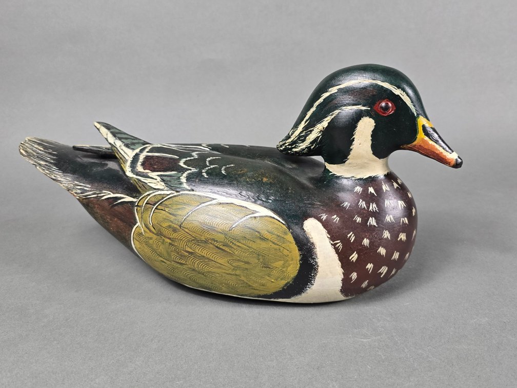 Wood Duck From  Canada