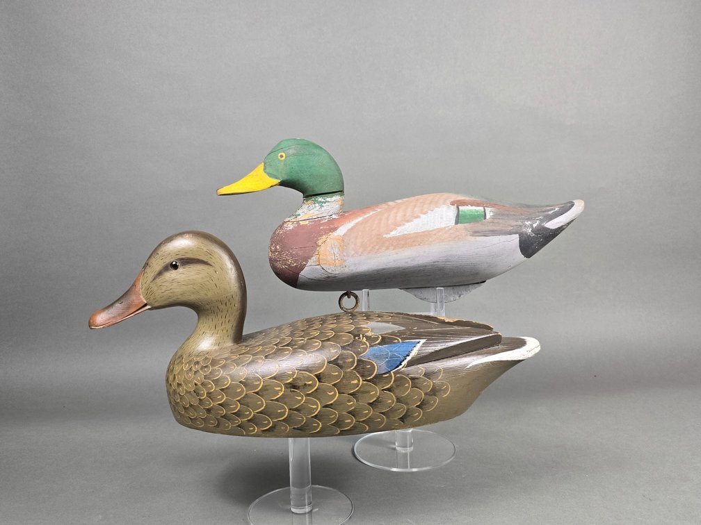 Mallard Duo