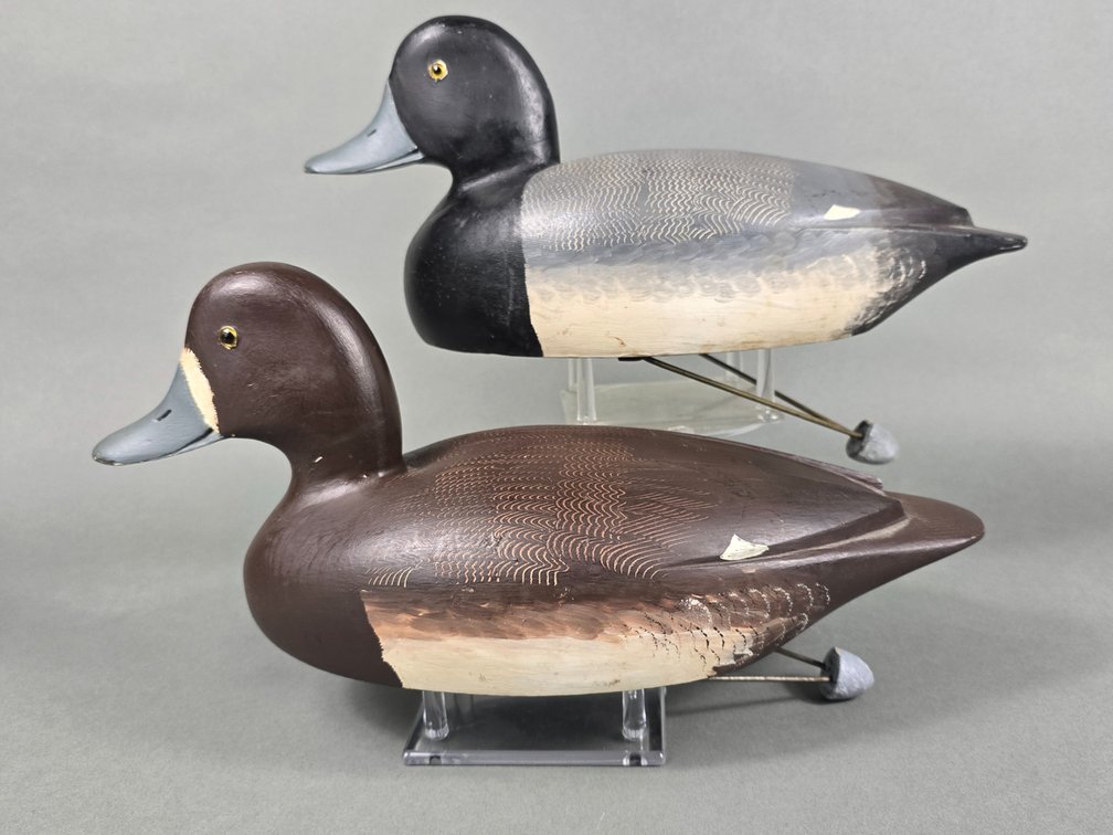 Gordon Brett, Bluebill Pair