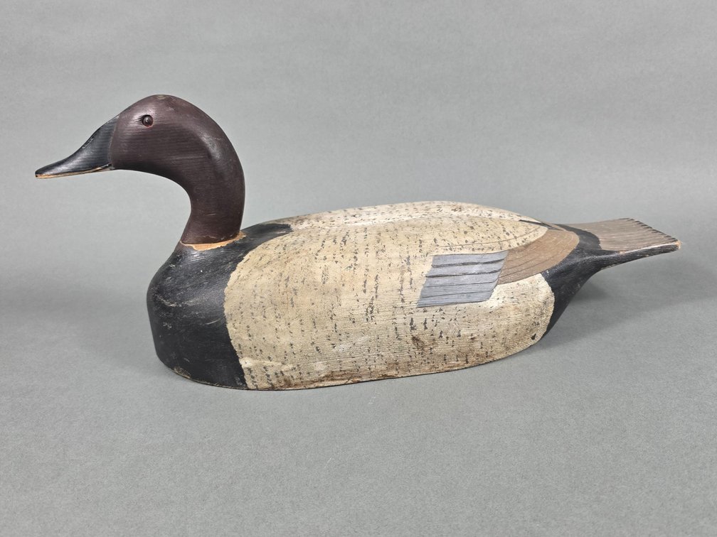 Thurkle Church, Ontarion, Canada Canvasback