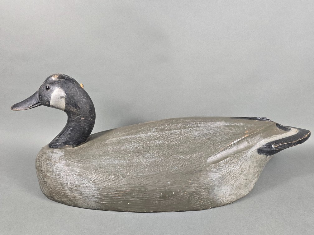 Ben Schmidt, Michigan,  Canada Goose