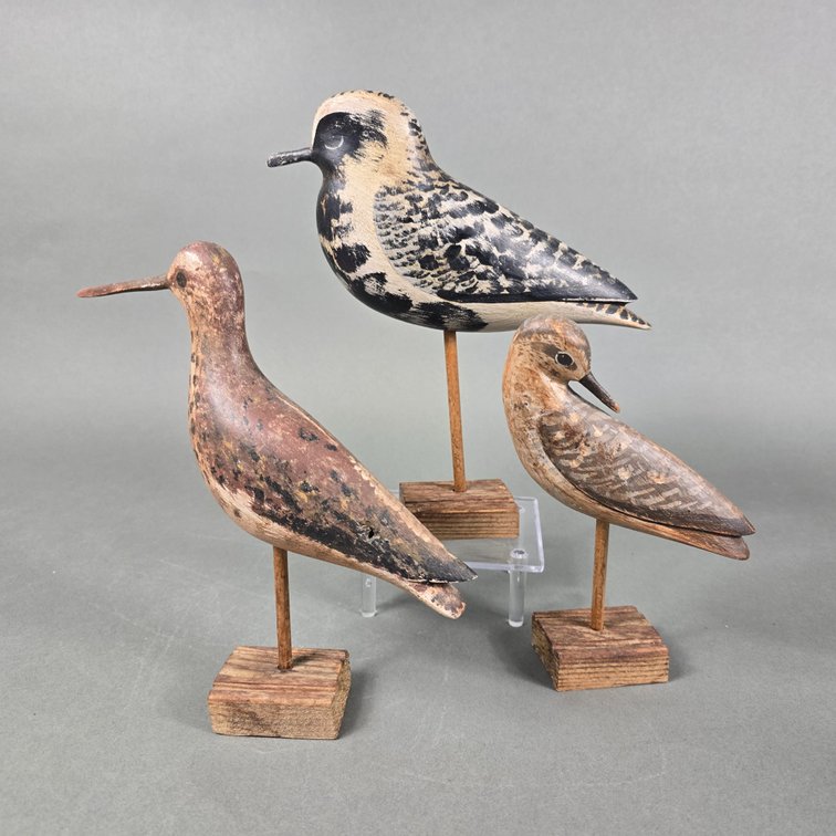 David Rhodes,  Absecon,  NJ Shorebird Trio