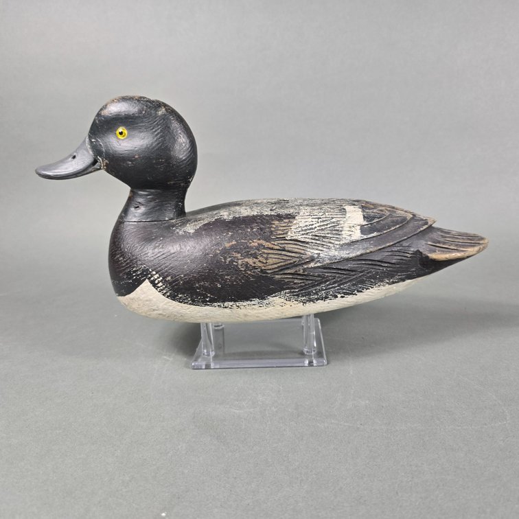 Bluebill From Canada