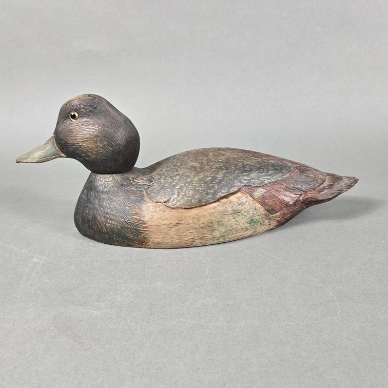 Bluebill From Canada