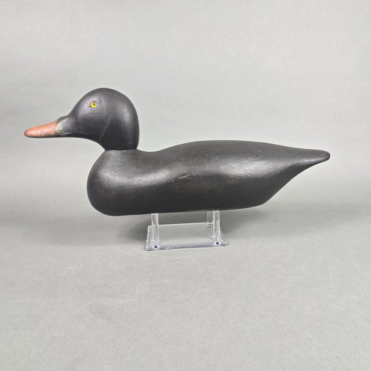 Factory Made Scoter