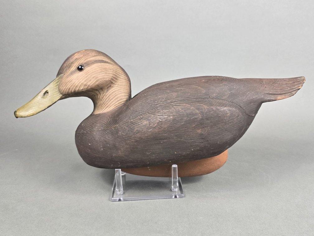 Black Duck Branded HJW