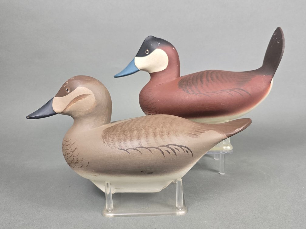 Charlie Bryan Middle River,  MD Ruddy Duck Pair