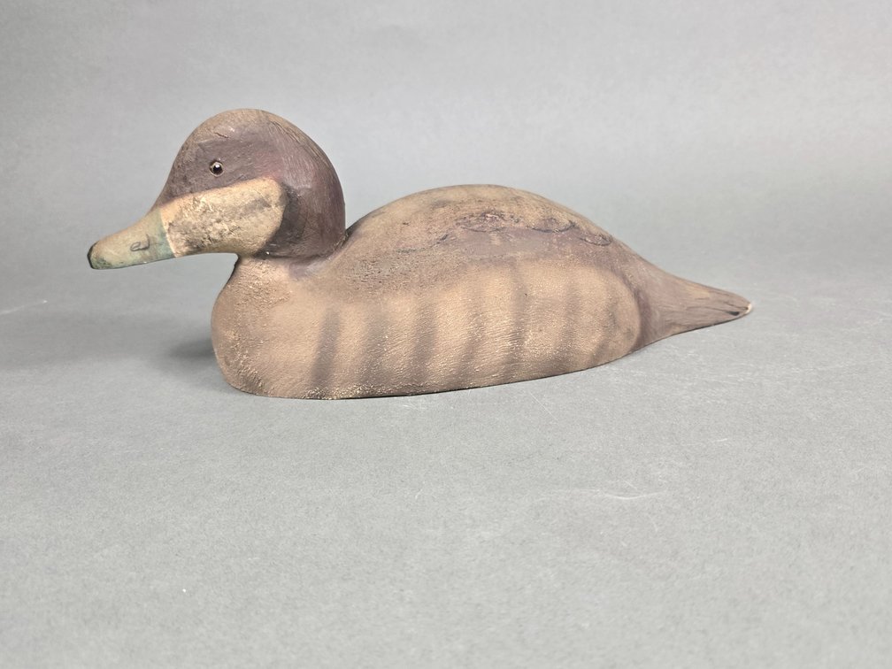 Herters Factory Ruddy Duck