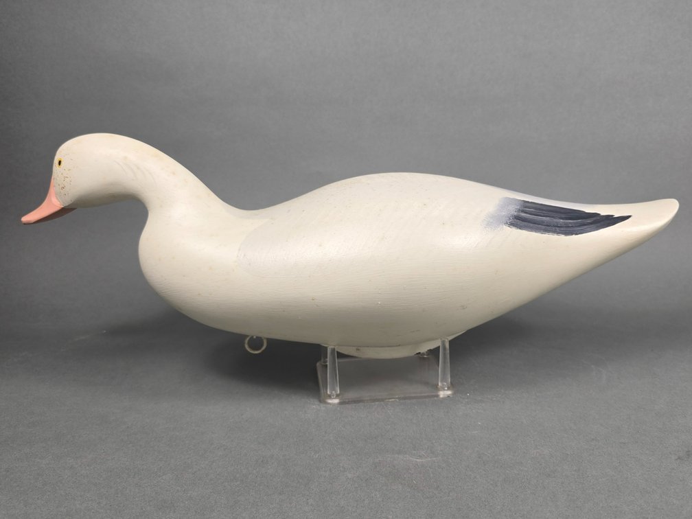 Pat Vincenti,  Havre de Grace,  MD Snow Goose