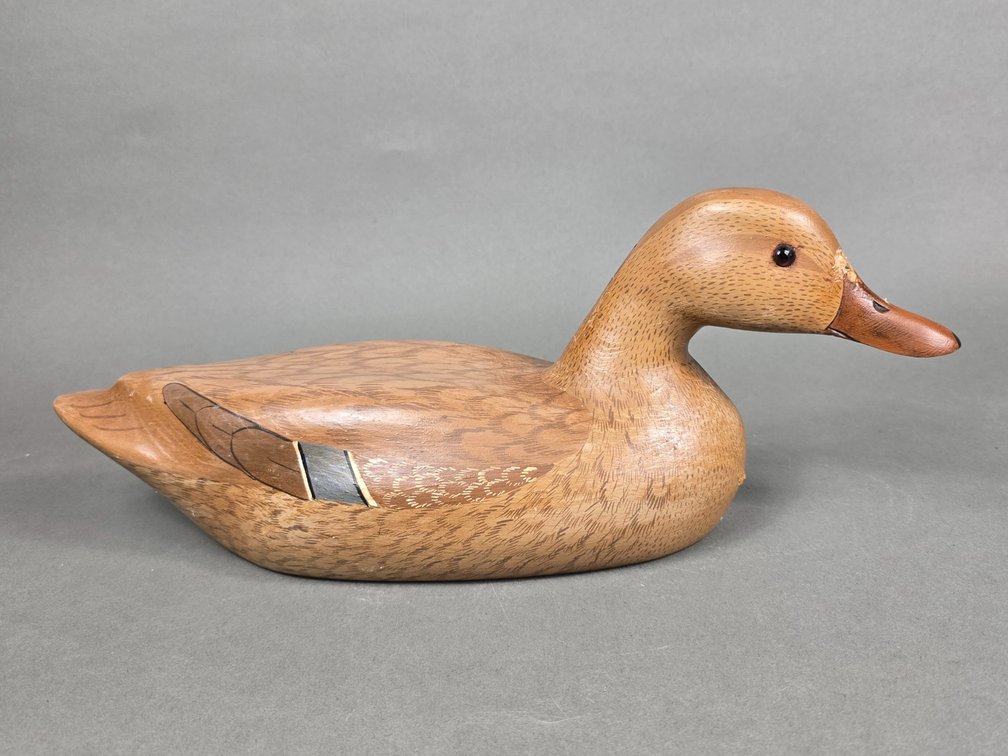 Dee Lanz, Chicago,  IL, Mallard