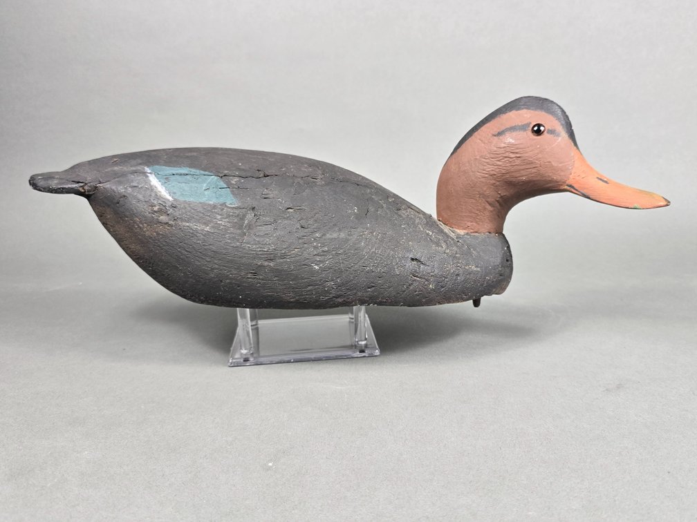 Black Duck by Unknown Maker