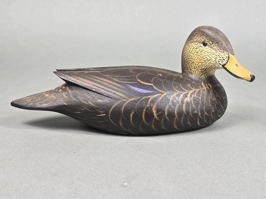 Bill Joiner,  Chestertown,  MD Black Duck Mini