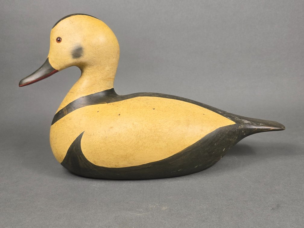 Ducks Unlimited Labrador Duck
