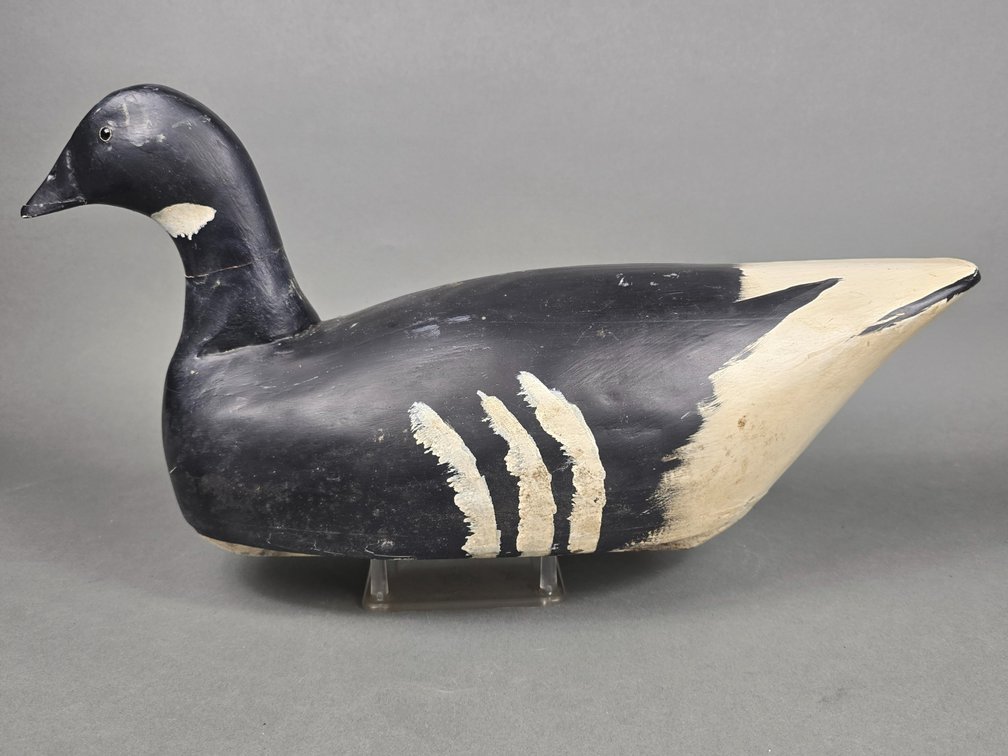 Bill Goenne, California Brant