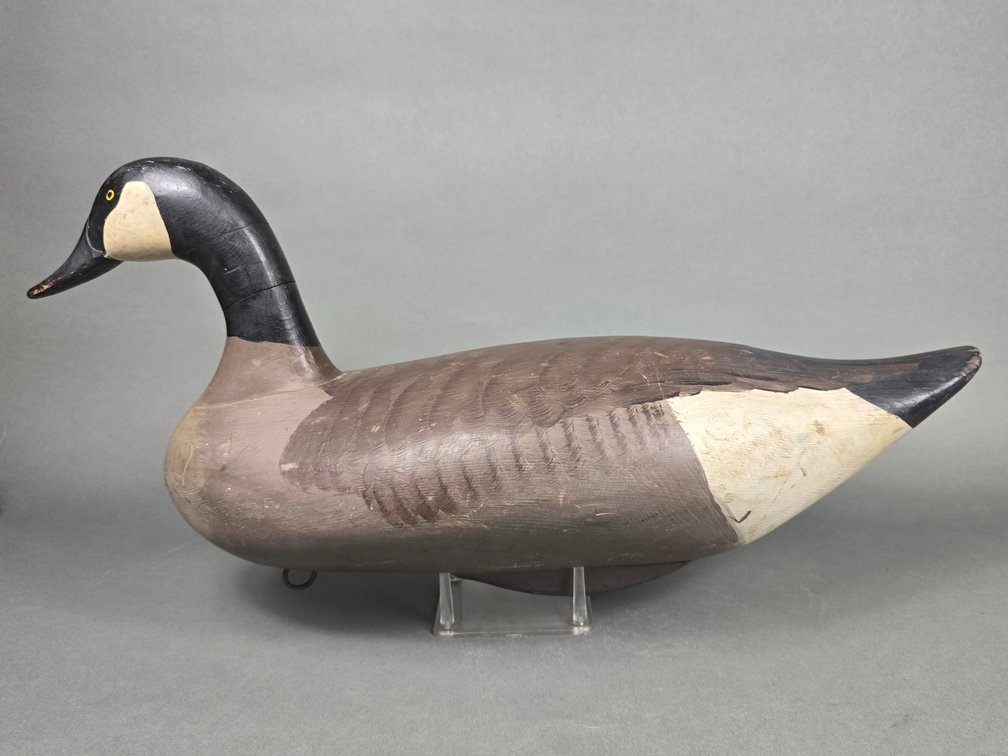 Madison Mitchell Havre de Grace,  Canada Goose
