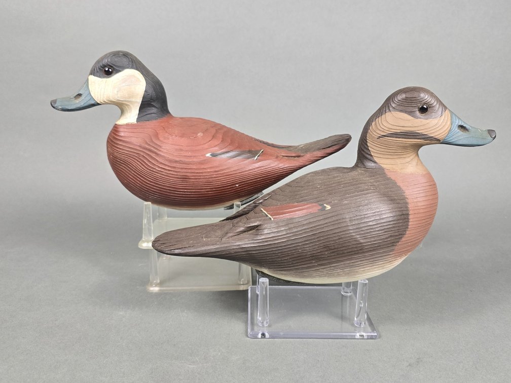Walt Oler, Chincoteague,  VA Ruddy Duck Pair