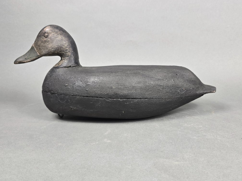 Eugene Hendrickson,  Northfield,  NJ Black Duck