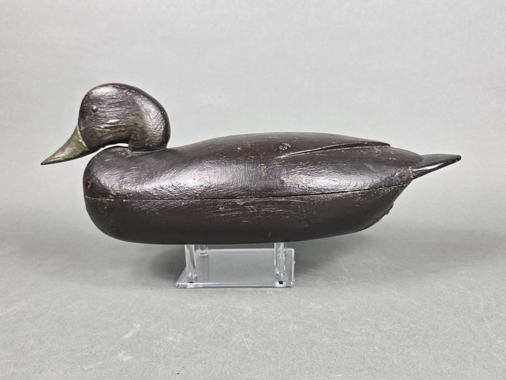 Harry Fennimore,  Bordentown, NJ Black Duck