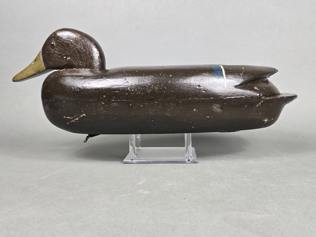 Joe West, Bordentown, NJ Black Duck