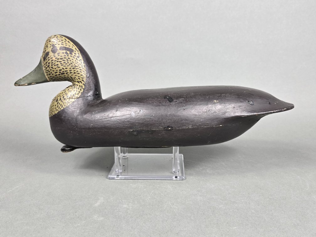 William  "Bill" Brown,  Parkertown,  NJ,  Black Duck
