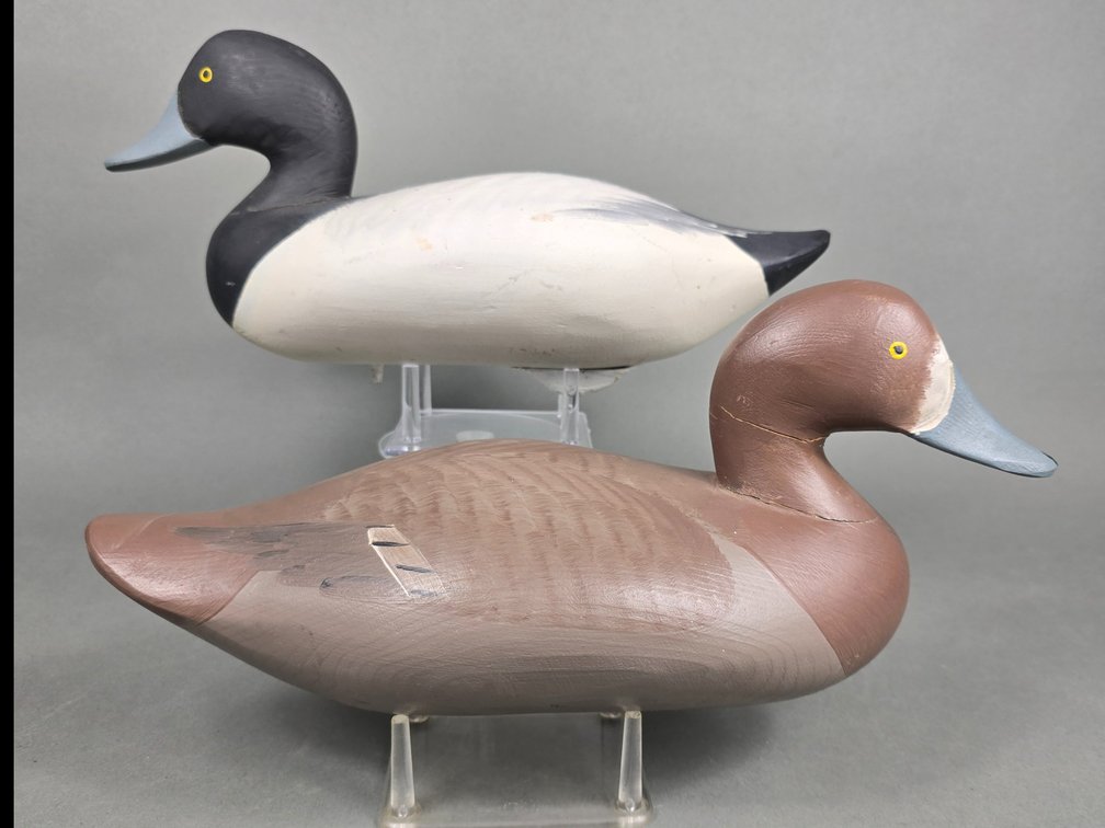Madison Mitchell Havre de Grace,  MD Bluebill Pair