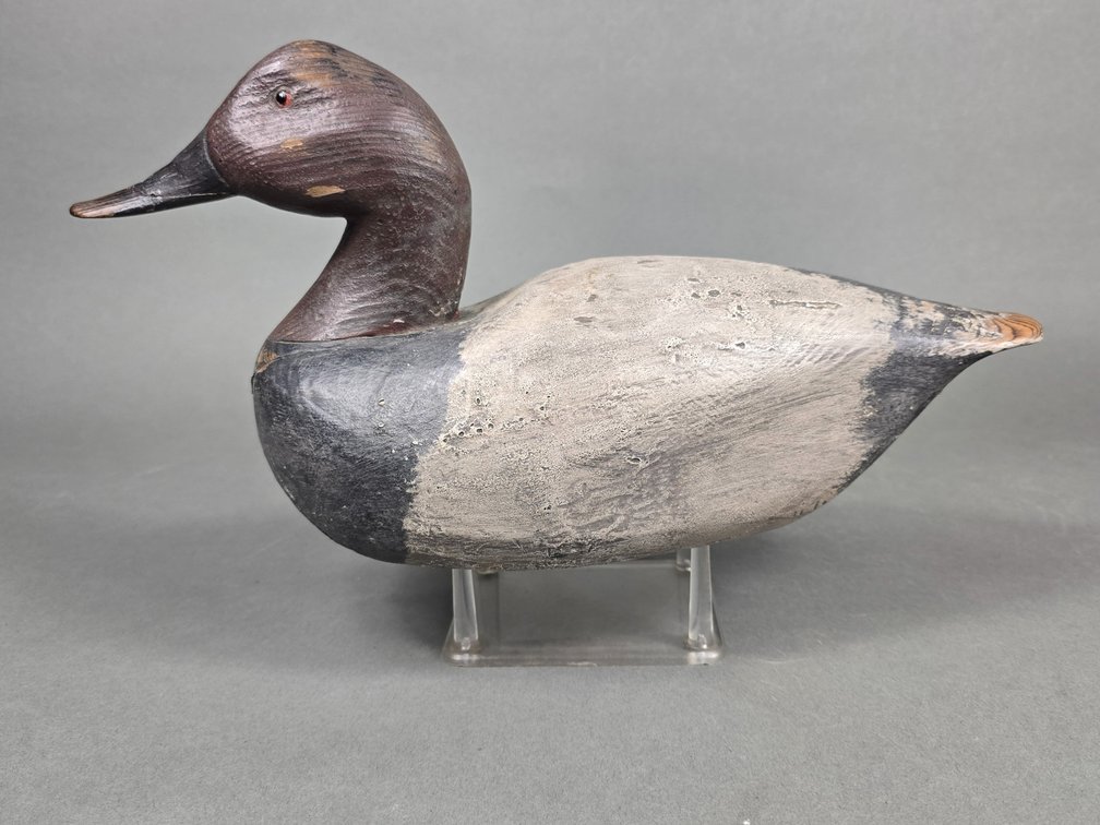 Canvasback by Unknown Maker
