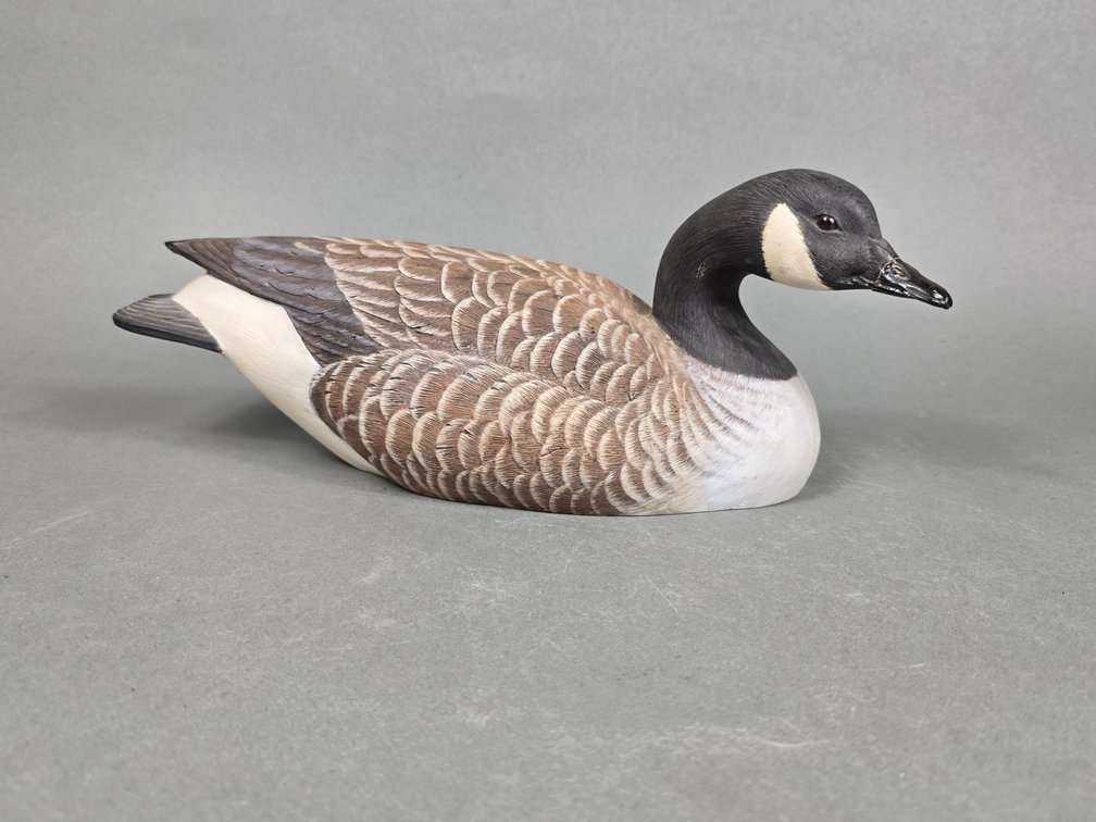 Jim Sprankle, Sanibel Island,  Florida Canada Goose