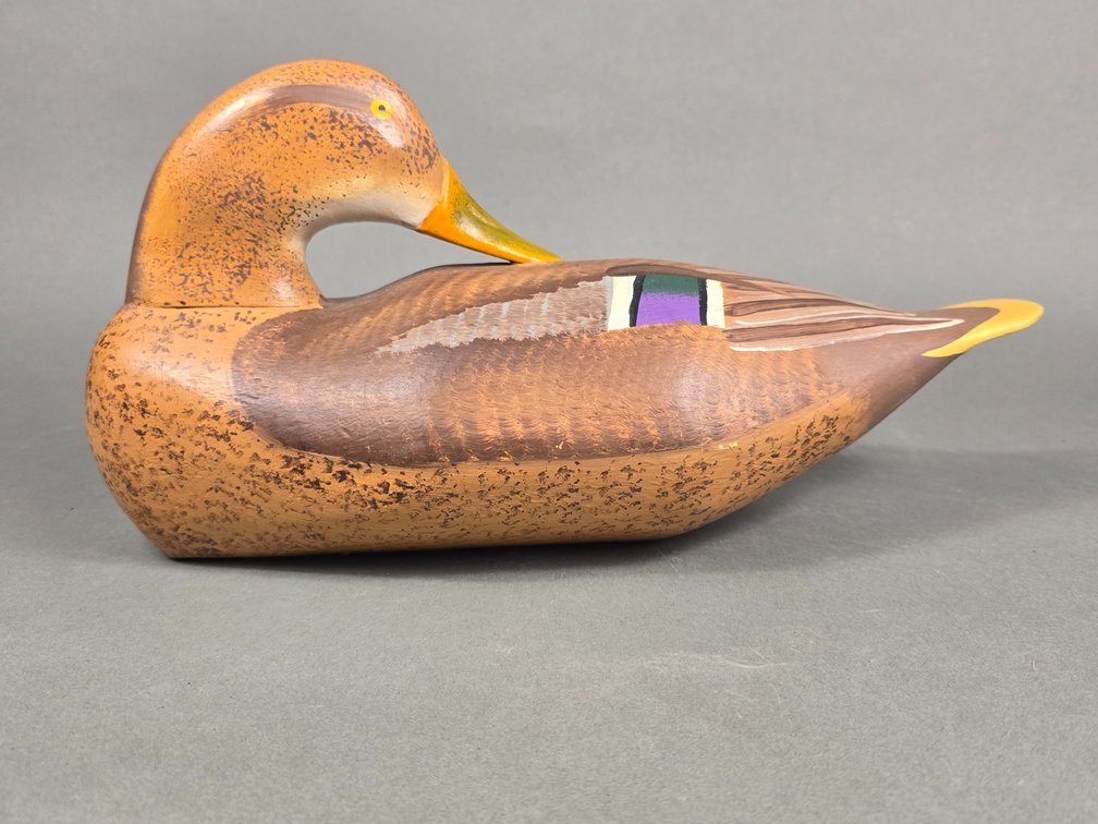 J. C. Crouch Hen Mallard